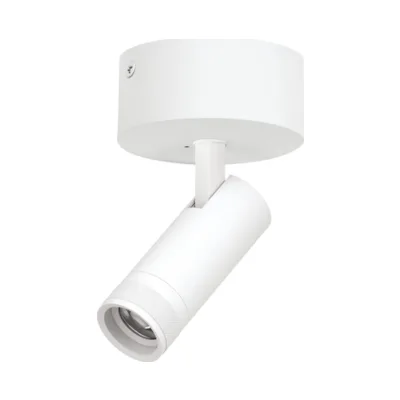 Спот Canno Pro C4126SO