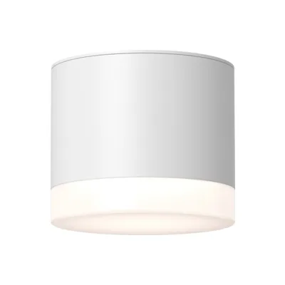 Накладной светильник Ceiling Wall Maytoni C087CL-GX53-W