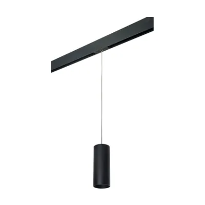Трековый светильник Lightstar Rullo PRORP487