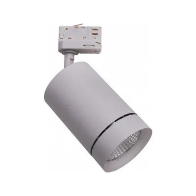 Светильник на штанге Lightstar Canno 303594
