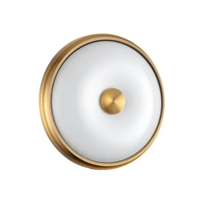 Настенно потолочный светильник Odeon Light Pelow 4956/2