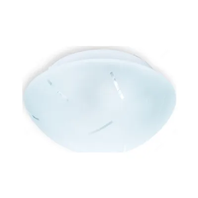 Настенно-потолочный светильник Mae TL9400Y-02WH