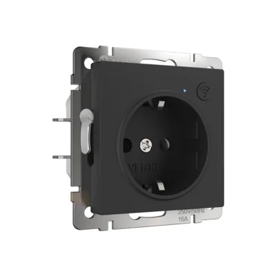 Розетка Werkel W1171608/ Умная розетка (черный матовый)