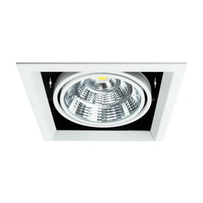 Встраиваемый светильник Arte Lamp Merga A8450PL-1WH