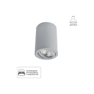 Накладной светильник Arte Lamp Sentry A1560PL-1GY