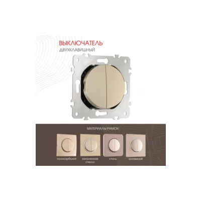 Выключатель Arte Milano Am-202 202.30-2.shampan