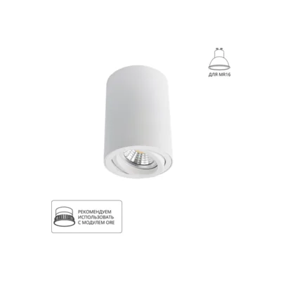 Накладной светильник Arte Lamp Sentry A1560PL-1WH