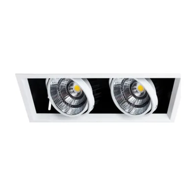 Встраиваемый светильник Arte Lamp Merga A8450PL-2WH