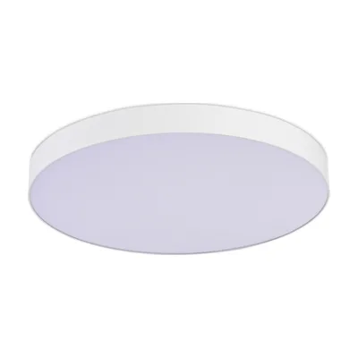 Светильник потолочный ST Luce ST606.542.96
