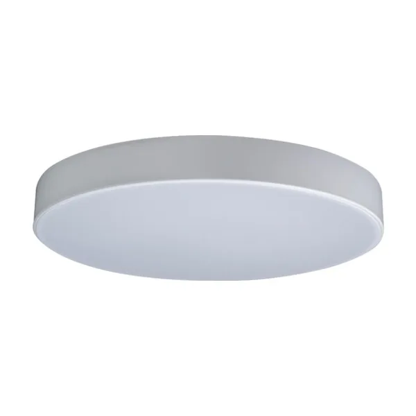 Потолочный светильник Axel Loft It 10002/24 White