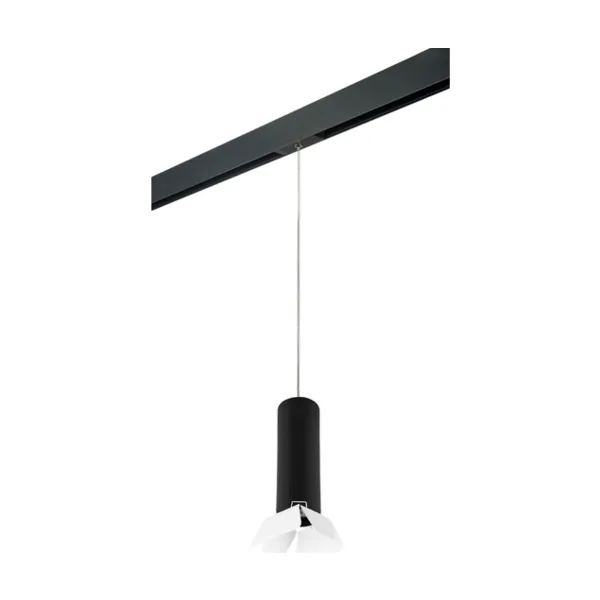 Трековый светильник Lightstar Rullo PRORP497436