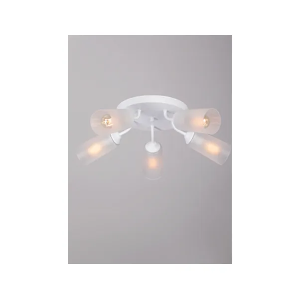 Потолочная люстра Vitaluce V3762-0/5PL