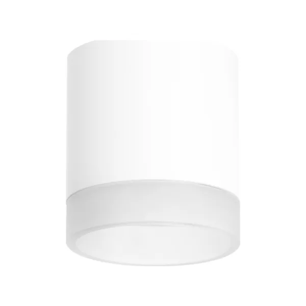 Накладной светильник Lightstar Rullo R348680