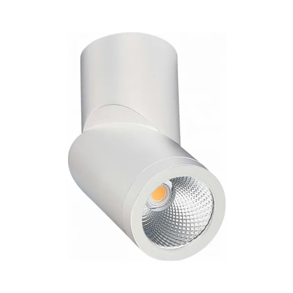 Накладной светильник ST Luce St650 ST650.542.10