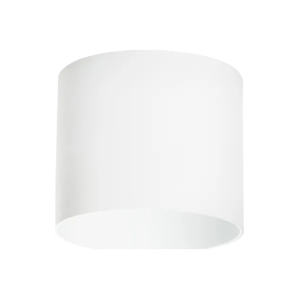 Накладной светильник Lightstar Rullo 213486