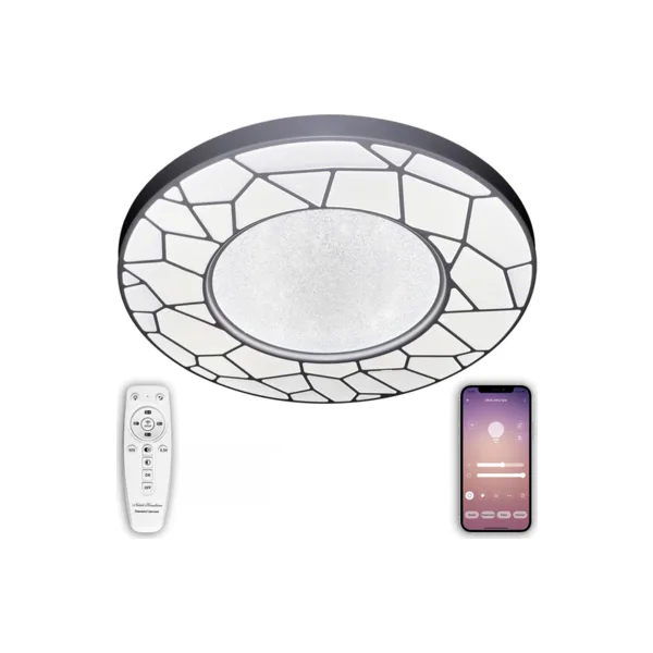 Потолочный светильник LED LED LAMPS 81108