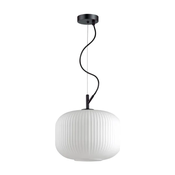 Светильник подвесной Odeon Light Roofi 4754/1