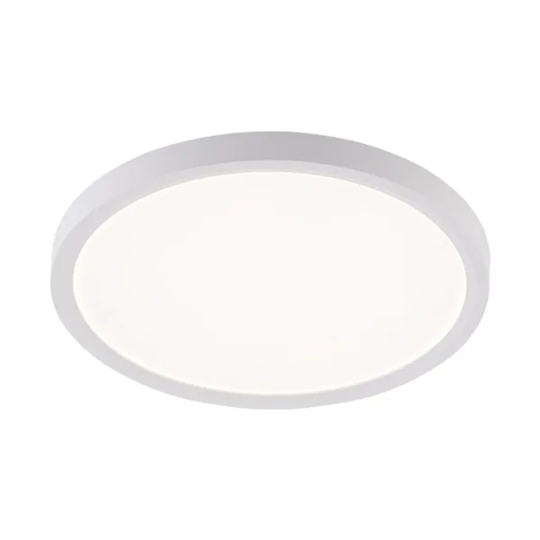 Светильник потолочный Natali Kovaltseva Plain LED LAMPS 81113/2C