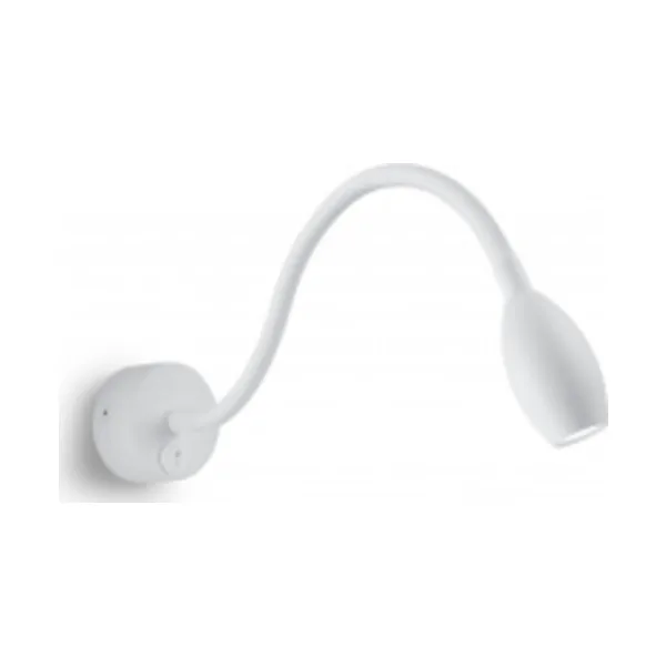 Спот 41228