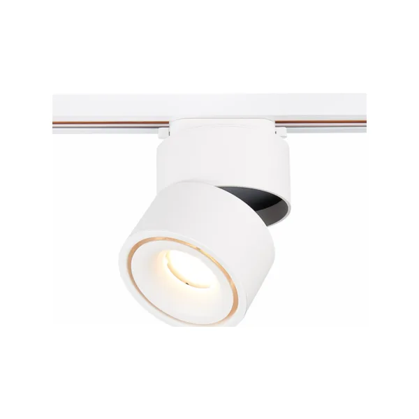 Трековый светильник ST Luce St652 ST652.546.12