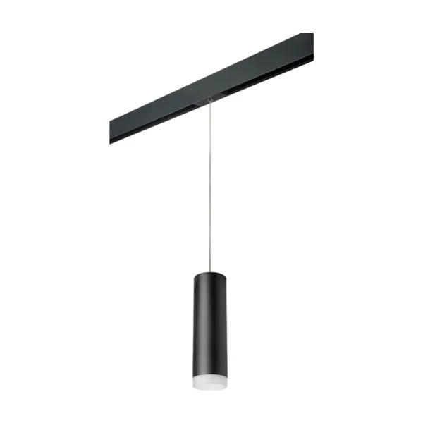 Трековый светильник Lightstar Rullo PRORP649780