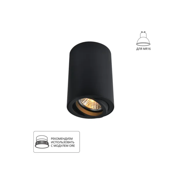 Накладной светильник Arte Lamp Sentry A1560PL-1BK