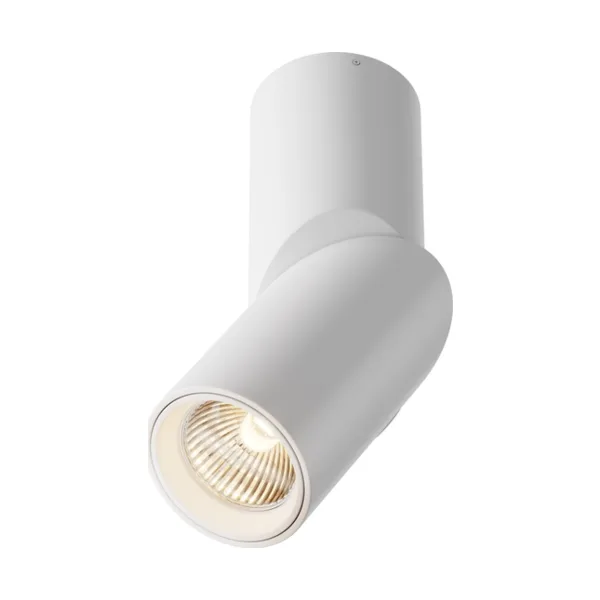 Накладной светильник Maytoni Dafne C027CL-L10W