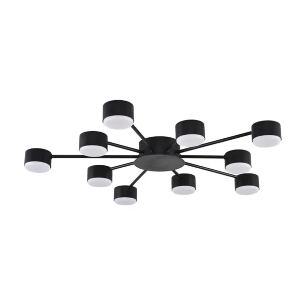 Потолочная люстра Lumion Torina 8344/10C