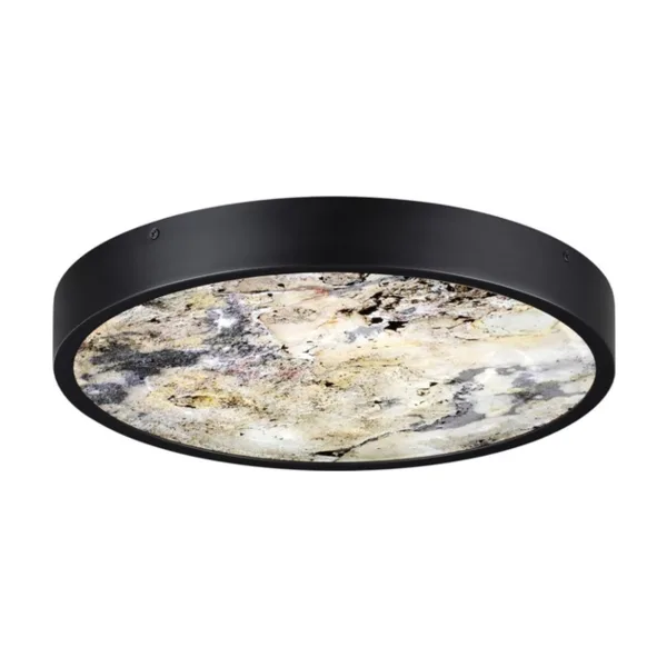 Настенно потолочный светильник Odeon Light Bergi 5064/24L