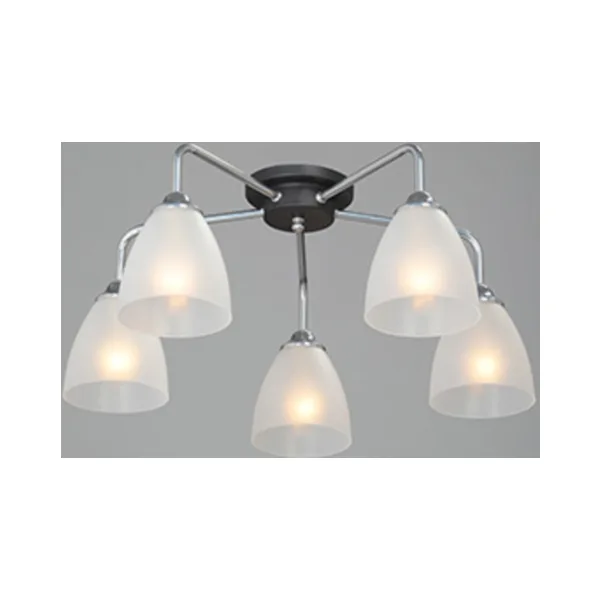 Потолочная люстра Vitaluce V4500-9/5PL