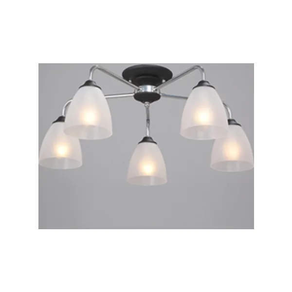 Потолочная люстра Vitaluce V3946-1/5PL