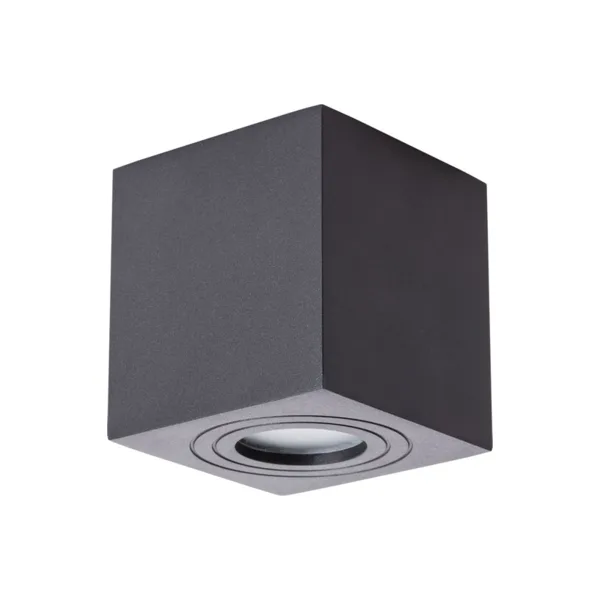 Накладной светильник Arte Lamp Galopin A1461PL-1BK