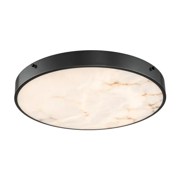 Потолочный светильник Devon 3395-5 BL MB