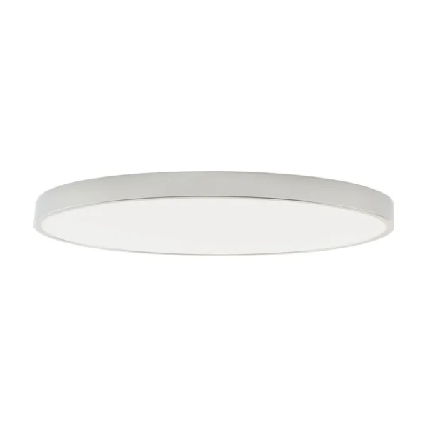 Светильник потолочный Zortes Tortty ZRS.02565.120