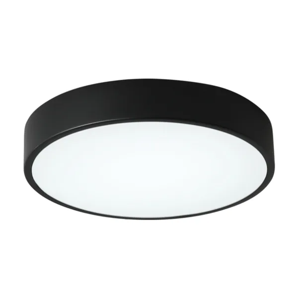Светильник потолочный Zortes Tortty ZRS.02563.48