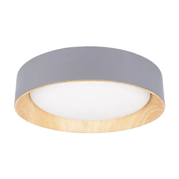 Потолочный светильник Coin Loft It 10202 Grey