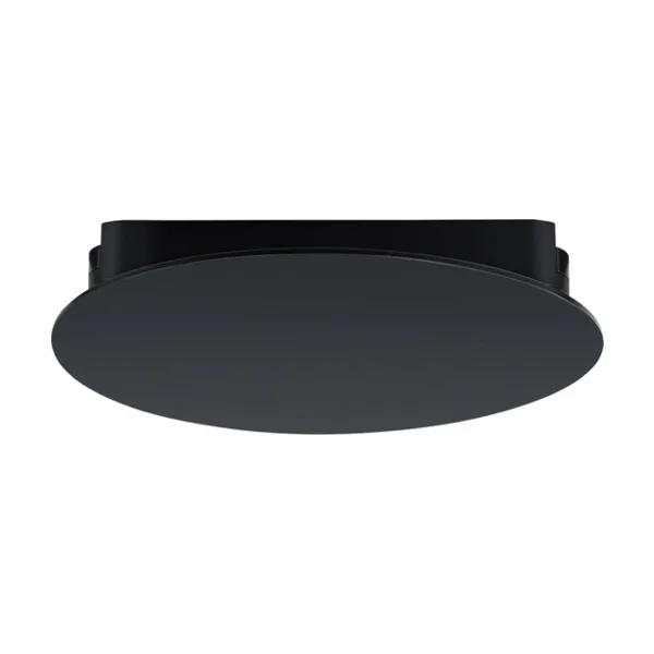 Трековый светильник Arte Lamp Rapid A6163PL-1BK
