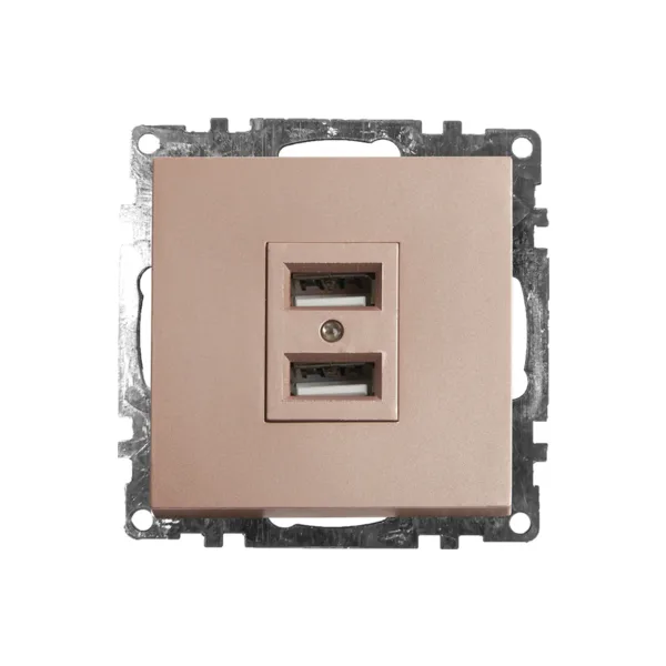Розетка USB 2-местная Stekker Катрин 39602