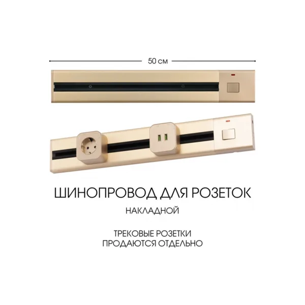 Электроустановочный шинопровод Am-track-sockets 385205TOB/50 Gold