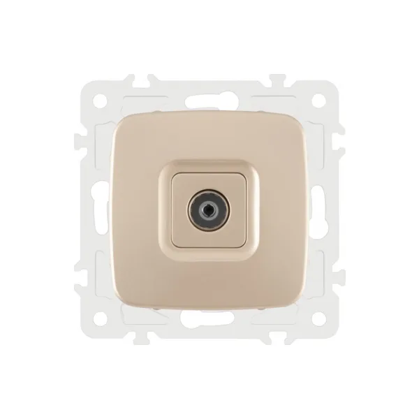 Розетка Arte Milano Am-205 205.43-1.shampan