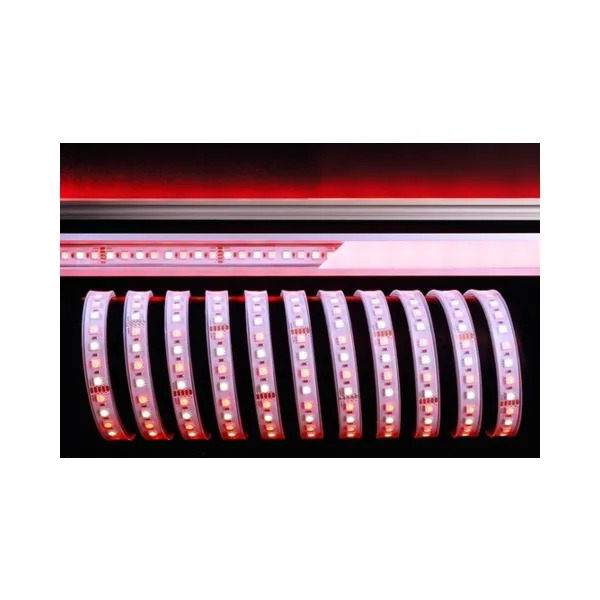 Светодиодная лента Deko-Light SMD5050 840218