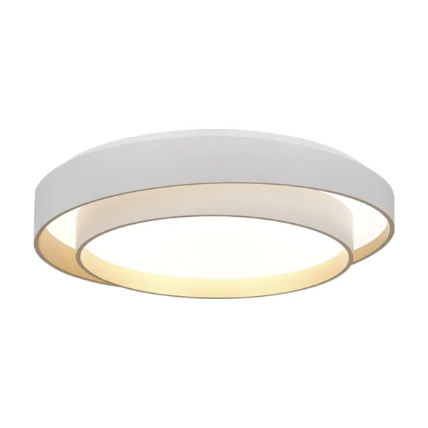 Светильник потолочный Evoluce Crosby SLE6009-502-01