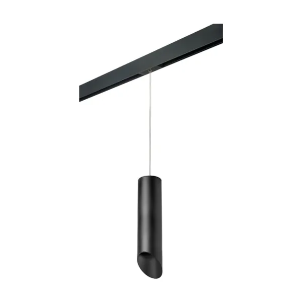 Трековый светильник Lightstar Rullo PRORP649787