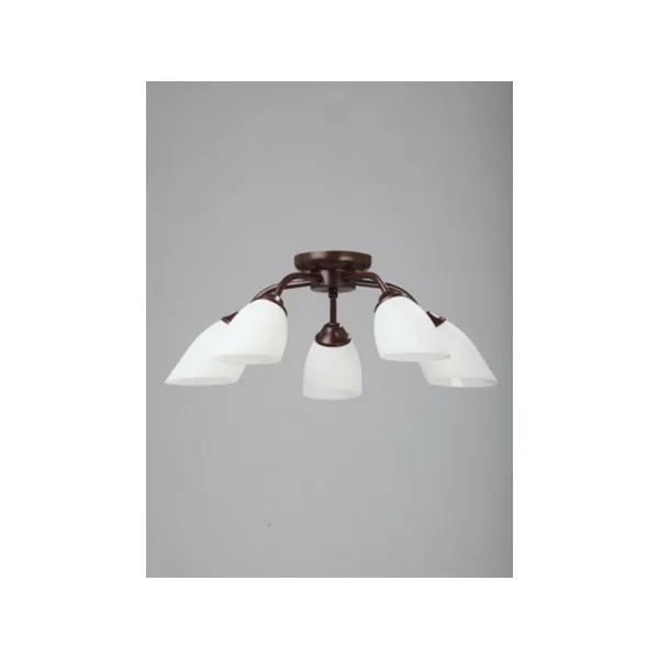 Потолочная люстра Vitaluce 3252 V3252/5PL