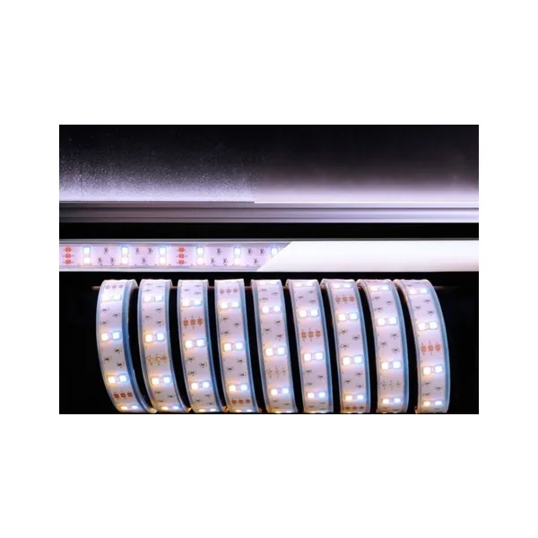 Светодиодная лента Deko-Light SMD5050 621362