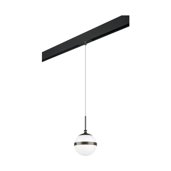 Трековый светильник Lightstar Globo PRO813117