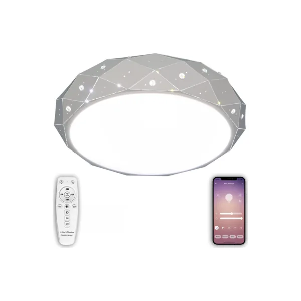 Потолочный светильник LED LED LAMPS 81205