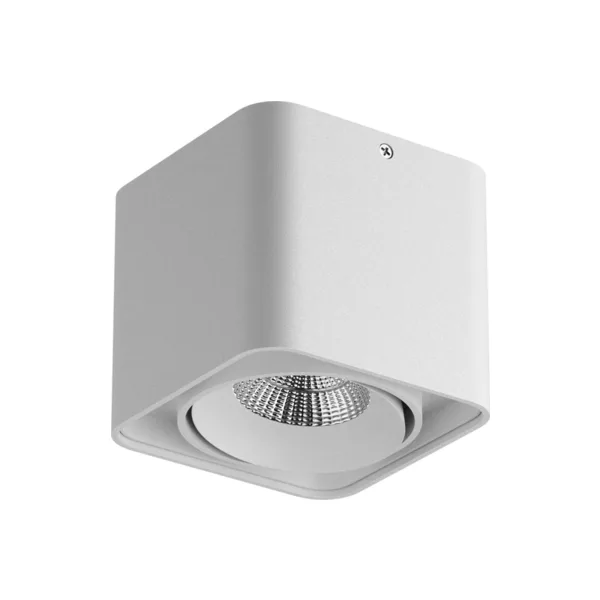 Накладной светильник Lightstar Monocco 212516