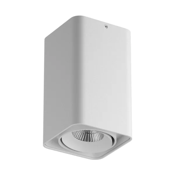 Накладной светильник Lightstar Monocco 212536