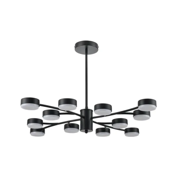 Потолочная люстра Lumion Torina 8117/12